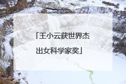 王小云获世界杰出女科学家奖
