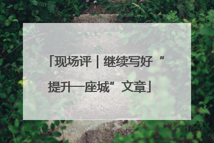 现场评｜继续写好“提升一座城”文章