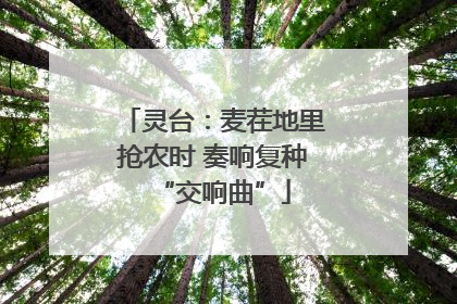 灵台：麦茬地里抢农时 奏响复种“交响曲”