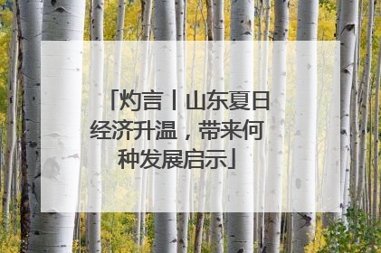 灼言丨山东夏日经济升温，带来何种发展启示
