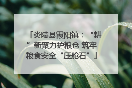 炎陵县霞阳镇：“耕”新聚力护粮仓 筑牢粮食安全“压舱石”