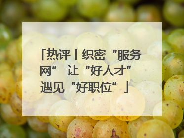 热评丨织密“服务网” 让“好人才”遇见“好职位”