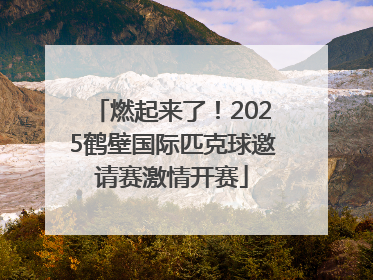 燃起来了！2025鹤壁国际匹克球邀请赛激情开赛