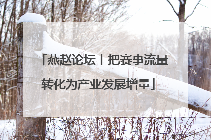 燕赵论坛丨把赛事流量转化为产业发展增量