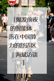 爆发前夜的智能体，落在中国算力的舒适区｜海斌访谈