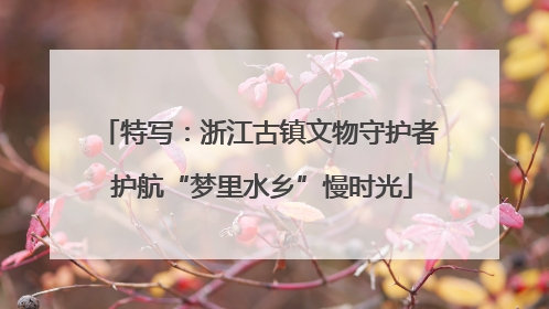 特写：浙江古镇文物守护者 护航“梦里水乡”慢时光