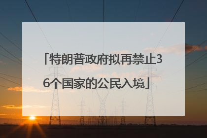 特朗普政府拟再禁止36个国家的公民入境
