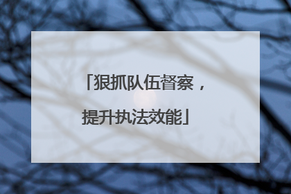 狠抓队伍督察，提升执法效能