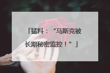 猛料：“马斯克被长期秘密监控！”
