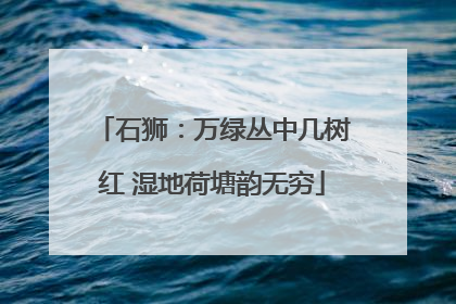 石狮：万绿丛中几树红 湿地荷塘韵无穷