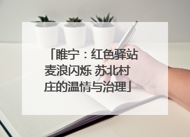 睢宁：红色驿站麦浪闪烁 苏北村庄的温情与治理