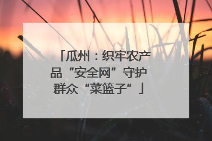 瓜州：织牢农产品“安全网”守护群众“菜篮子”