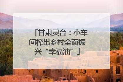 甘肃灵台：小车间榨出乡村全面振兴“幸福油”