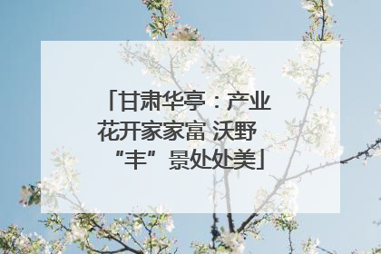 甘肃华亭：产业花开家家富 沃野“丰”景处处美
