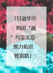 甘肃华亭：抱团“蔬”写菜文章 聚力拓宽致富路