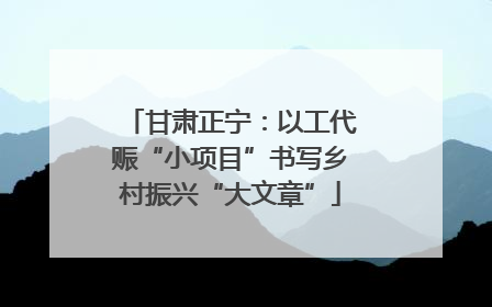 甘肃正宁：以工代赈“小项目”书写乡村振兴“大文章”