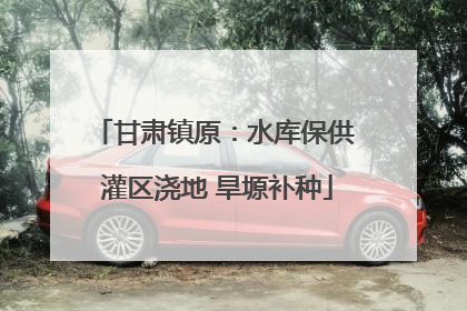 甘肃镇原：水库保供 灌区浇地 旱塬补种