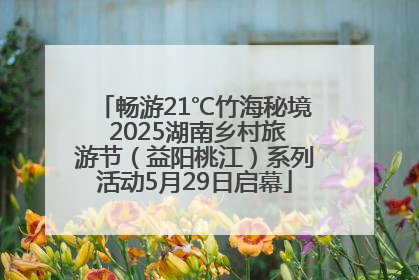 畅游21℃竹海秘境 2025湖南乡村旅游节（益阳桃江）系列活动5月29日启幕