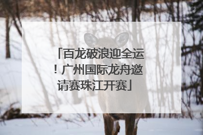 百龙破浪迎全运！广州国际龙舟邀请赛珠江开赛