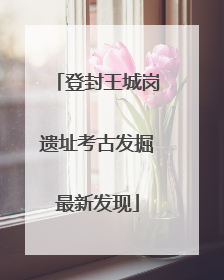 登封王城岗遗址考古发掘最新发现