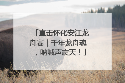 直击怀化安江龙舟赛｜千年龙舟魂，呐喊声震天！
