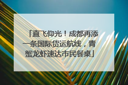 直飞仰光！成都再添一条国际货运航线，青蟹龙虾速达市民餐桌