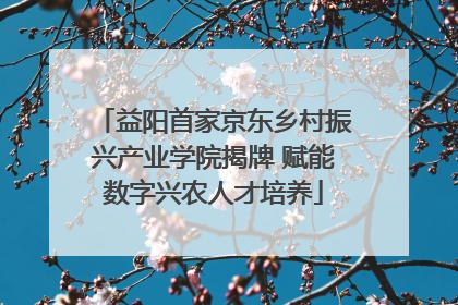 益阳首家京东乡村振兴产业学院揭牌 赋能数字兴农人才培养