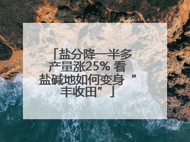 盐分降一半多 产量涨25% 看盐碱地如何变身“丰收田”