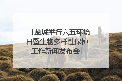 盐城举行六五环境日暨生物多样性保护工作新闻发布会