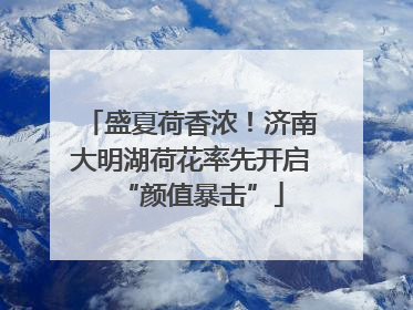 盛夏荷香浓！济南大明湖荷花率先开启“颜值暴击”