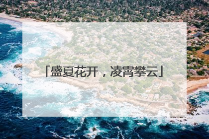 盛夏花开，凌霄攀云