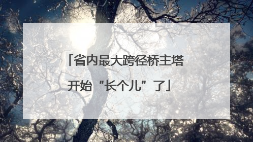 省内最大跨径桥主塔开始“长个儿”了