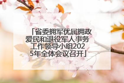 省委拥军优属拥政爱民和退役军人事务工作领导小组2025年全体会议召开