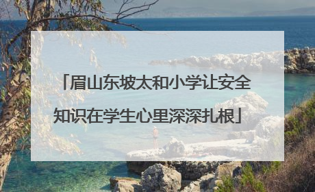 眉山东坡太和小学让安全知识在学生心里深深扎根