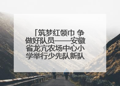 筑梦红领巾 争做好队员——安徽省龙亢农场中心小学举行少先队新队员入队仪式