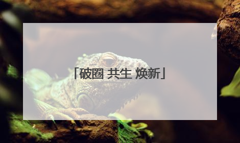 破圈 共生 焕新