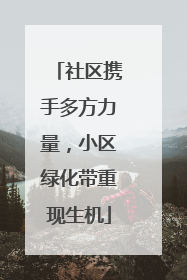 社区携手多方力量，小区绿化带重现生机