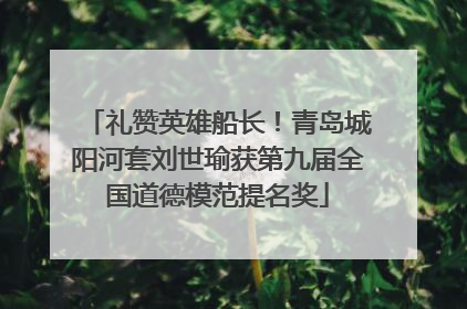 礼赞英雄船长！青岛城阳河套刘世瑜获第九届全国道德模范提名奖