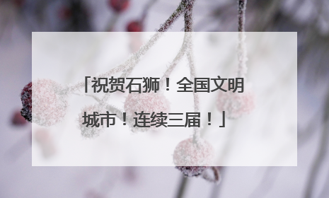 祝贺石狮！全国文明城市！连续三届！