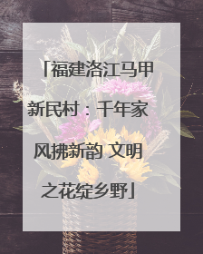 福建洛江马甲新民村：千年家风拂新韵 文明之花绽乡野