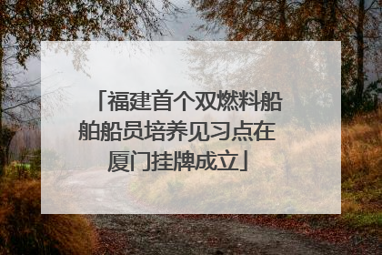 福建首个双燃料船舶船员培养见习点在厦门挂牌成立
