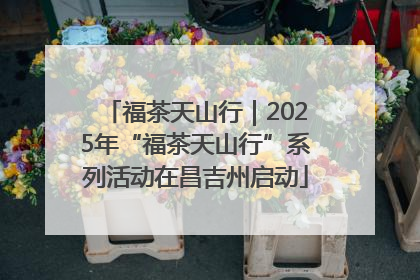 福茶天山行｜2025年“福茶天山行”系列活动在昌吉州启动