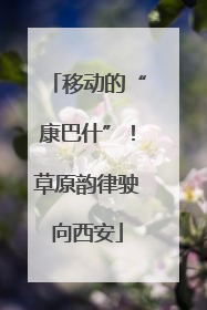 移动的“康巴什”！草原韵律驶向西安