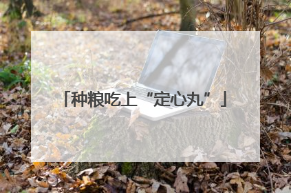 种粮吃上“定心丸”