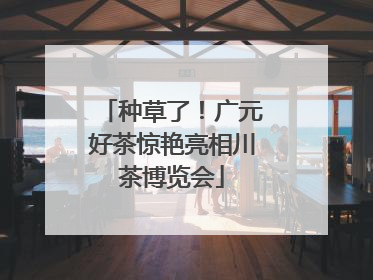 种草了！广元好茶惊艳亮相川茶博览会