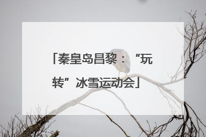秦皇岛昌黎：“玩转”冰雪运动会