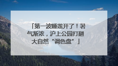 第一波睡莲开了！暑气渐浓，沪上公园打翻大自然“调色盘”