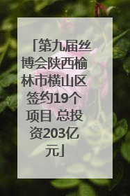 第九届丝博会陕西榆林市横山区签约19个项目 总投资203亿元