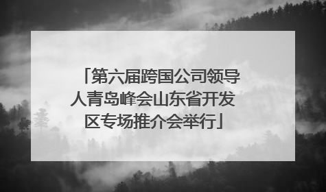 第六届跨国公司领导人青岛峰会山东省开发区专场推介会举行