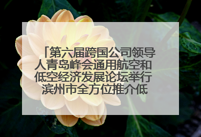 第六届跨国公司领导人青岛峰会通用航空和低空经济发展论坛举行 滨州市全方位推介低空经济发展优势